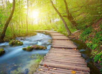 Natur Natur: Wasserader-Seminar